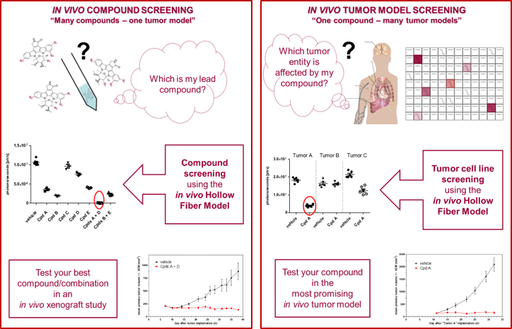 hollow fiber drug screening compound screening or cell line screening using the In Vivo Hollow Fiber Model